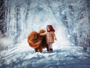 Chow chow, girl, forest, Way, winter, dog