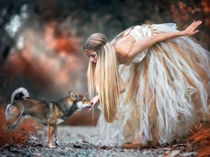 girl, Shiba inu, forest, Way, magical