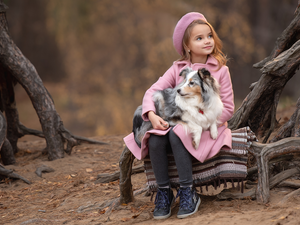 trees, dog, roots, shetland Sheepdog, girl, viewes, forest