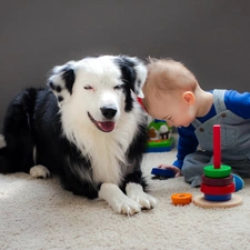 friends, toys, Kid, dog