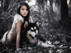 Alaskan Malamute, Women, fuzzy, background, Plants, Asian