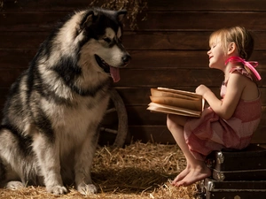 Alaskan Malamute, dog, girl