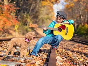 dog, boy, autumn, ##, poodle, Guitar