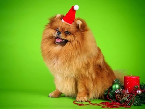 headdress, point, Bonnet