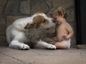 play, Kid, Central Asian Shepherd