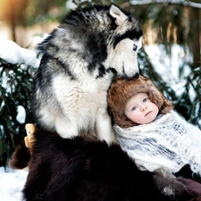 Kid, Siberian Husky, winter