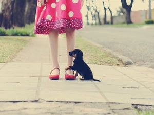 Street, girl, puppie, Kid