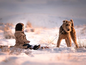 snow, Kid, Welsh Terrier, winter