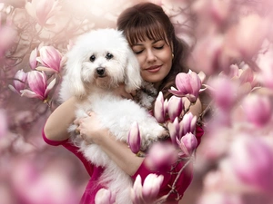White, Women, Flowers, Magnolias, poodle, dog