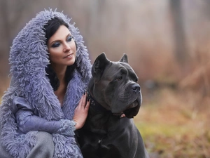 dog, Cane Corso, make-up, Big, Women