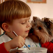 dog, meal, Kid