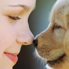 ##, nose, dog, nose, Women