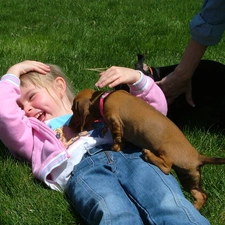play, Cheerful, girl, dachshund