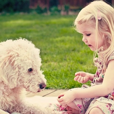 girl, play, dog