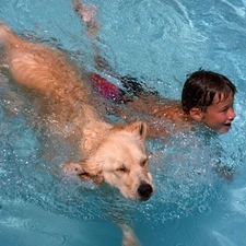 Kid, Pool, dog