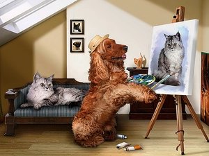 cat, portrait, Cocker Spaniel, dog