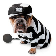 Hat, prisoner, Buldog