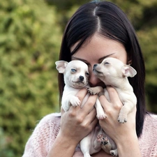 puppies, White, Women, Two cars