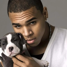 Brown, Puppy, Chris