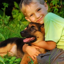 Puppy, sheep-dog, Kid