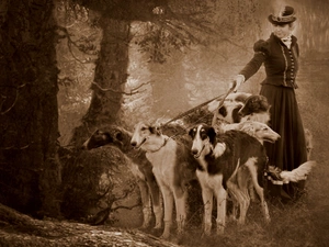 Women, Old, Greyhound, Russian, Dogs, photography