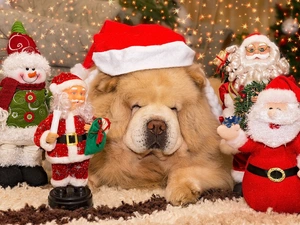 Nicholas, Chow chow, figures, Hat, dog, decor, Santas