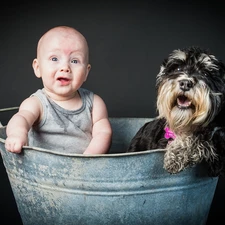 Schnauzer, dog, Kid, bathtub