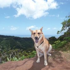 Blue, Sky, Jindo