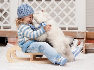 girl, sledge, Miniature Poodle, joy