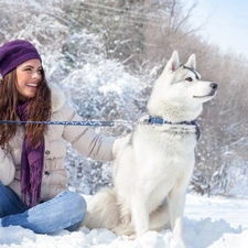 snow, winter, Siberian Husky, brunette