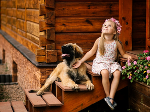 Puppy, Stairs, dog, Leonberger, girl