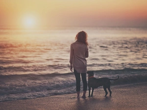 west, sun, sea, Amstaff, Women