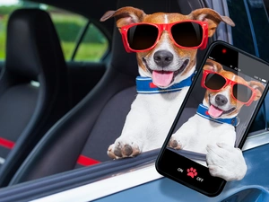 Glasses, dog, Tounge, Funny, Smartphone, Jack Russell Terrier