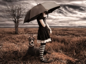 girl, clouds, dog, trees, Meadow, Umbrella, Doberman