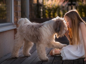 Window, terrace, Terier Tybetański, girl, dog