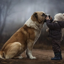 Kid, Trees Bullmastiff, dog