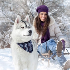 winter, Husky, girl, sledge, dog