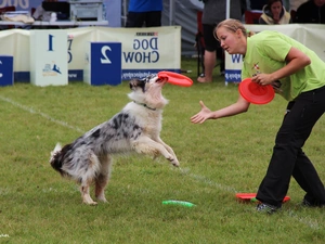 Women, Frisbee, dog, Border Collie