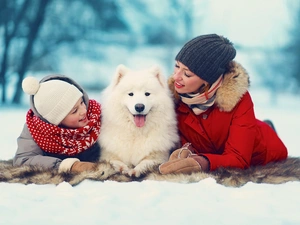 dog, winter, Two, Womens, Samojed, White